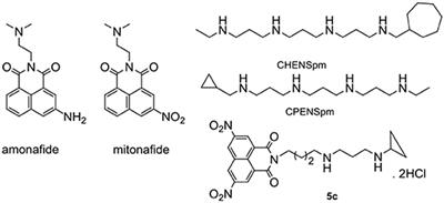 A Polyamine-Based Dinitro-Naphthalimide Conjugate as Substrates for Polyamine Transporters Preferentially Accumulates in Cancer Cells and Minimizes Side Effects in vitro and in vivo